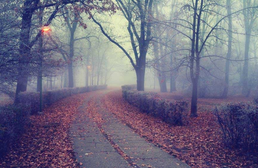 Seasonal Cctv Checks