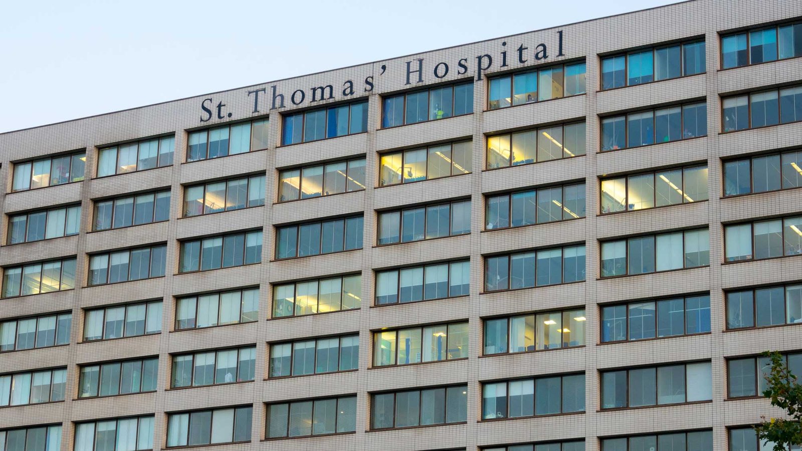 WLS Healthcare Sector Hero